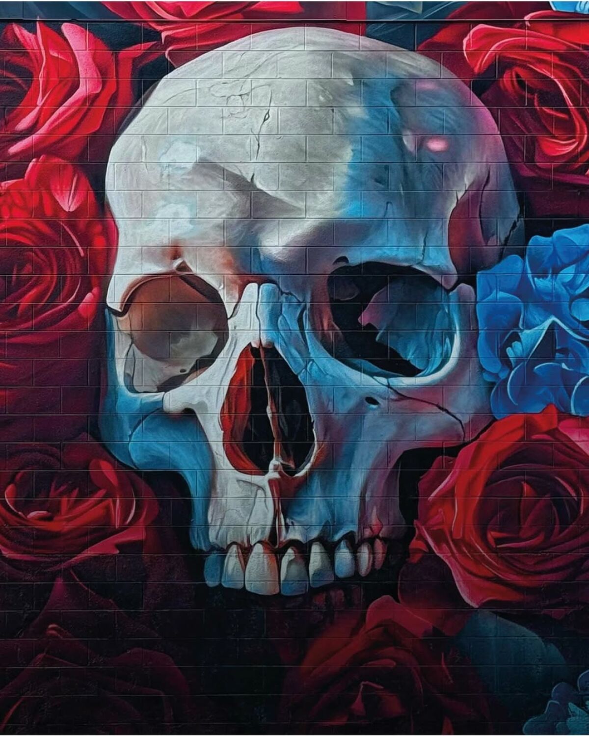 Kobra Paint x JEKS LIMITED EDITION